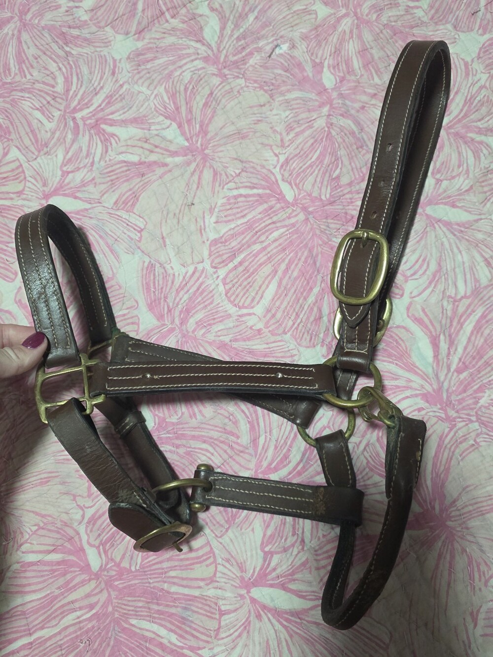 Cob Sizr Brown Leather Horse Halter with Brass Hardware